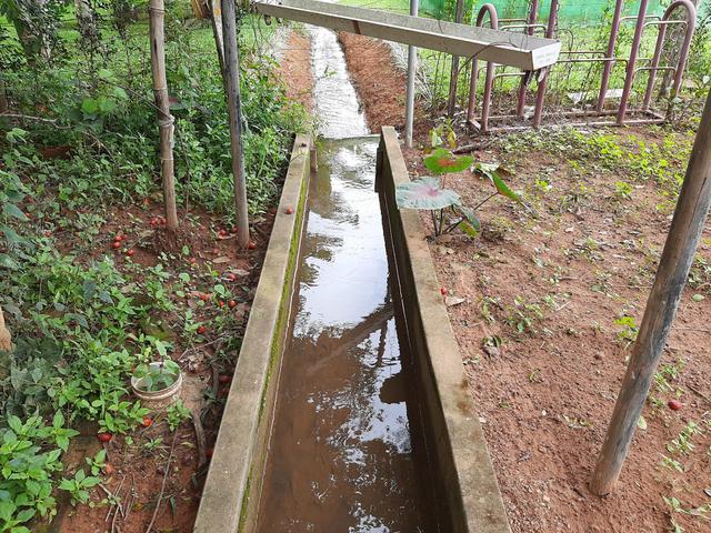 Chácara de 1.500 metros 14 km de Anápolis, com represa e Rego ?água - Foto 12