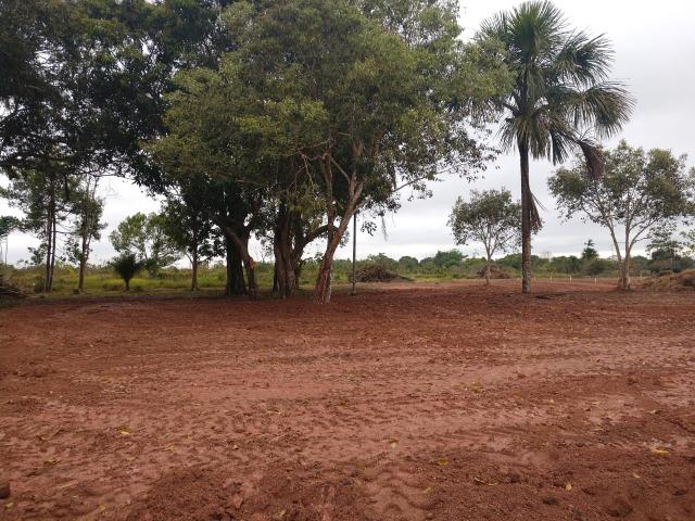 Ótimo terreno no vila acre - Foto 2