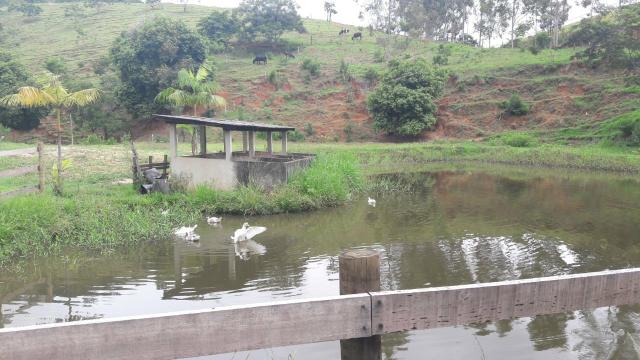 Vendo ou troco sítio top perto da Fazenda salgada - Foto 14