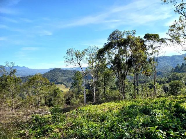 ANITÁPOLIS/SC - Belíssimo terreno com 3hectares  - Foto 5