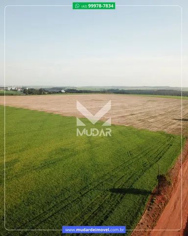 Área industrial em Ponta Grossa em frente a Bunge - Foto 13