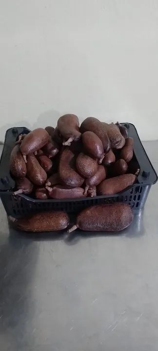 Jatobá da Amazônia fruto - Foto 2