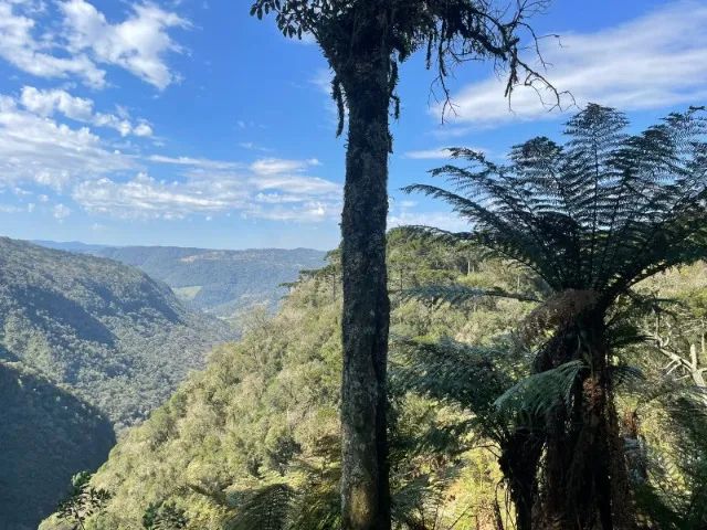 Terreno com Canion em Urubici Serra Catarinense  - Foto 4