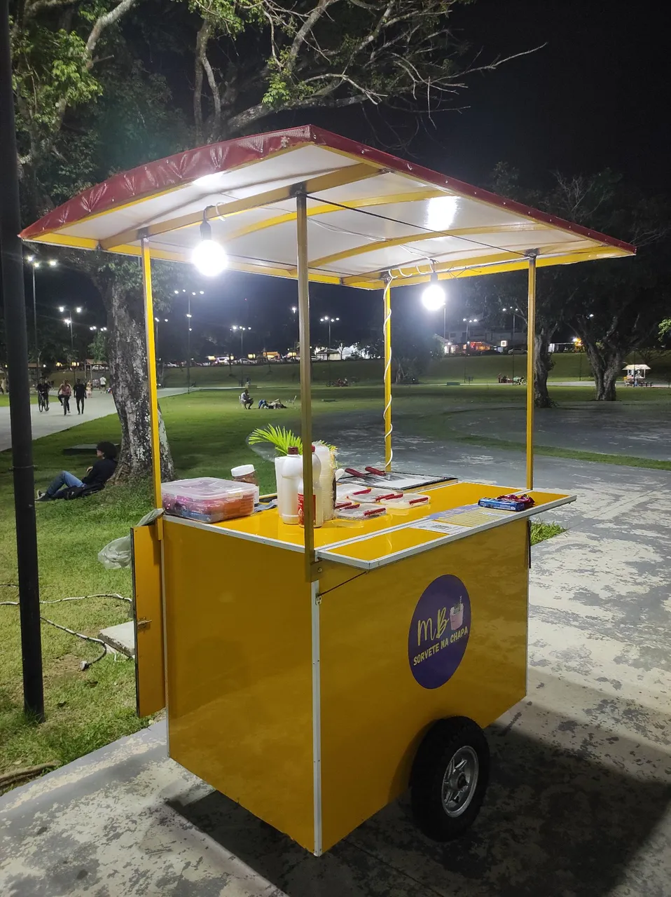 Vendo projeto sorvete na chapa completa, com chapa e carrinho e tbm receita do sorvete.
