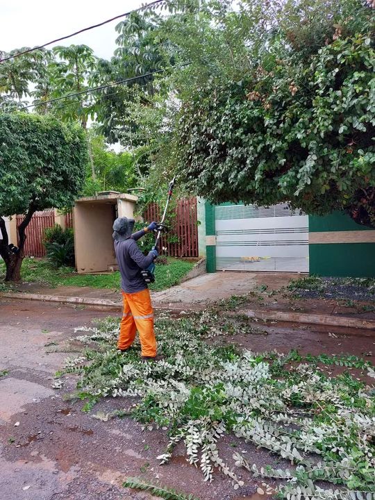 Roçada de terrenos/ Roçador - Foto 5