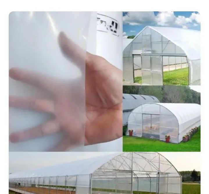 Rolo de Filme Plástico transparente  150 micras 12x60 (120 kg)anti-UV para Agricultura. - Foto 4