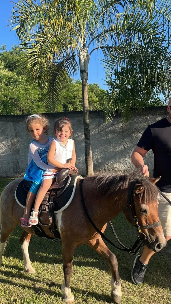 Pônei manso para criança  - Foto 2