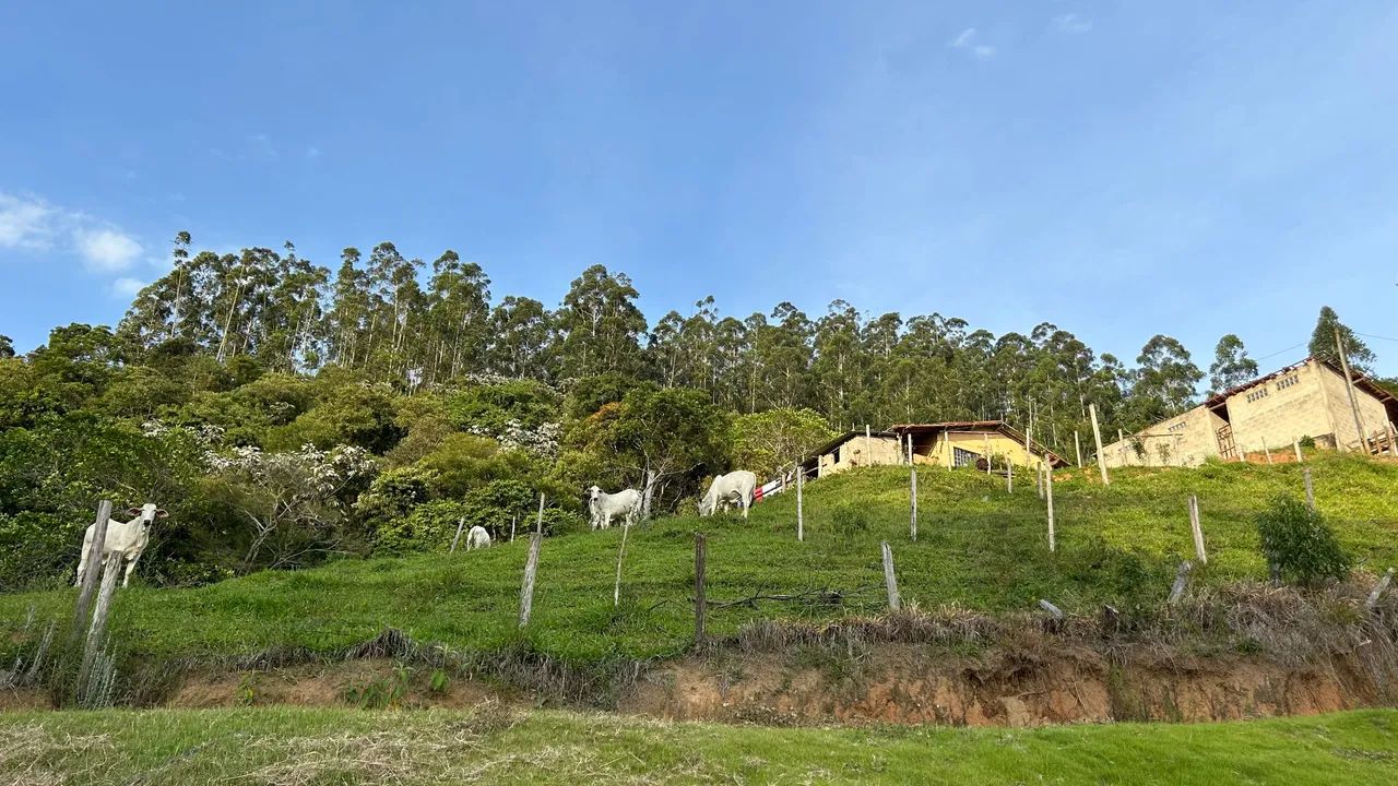 Fazenda Frente da Represa de Paraibuna. - Foto 3