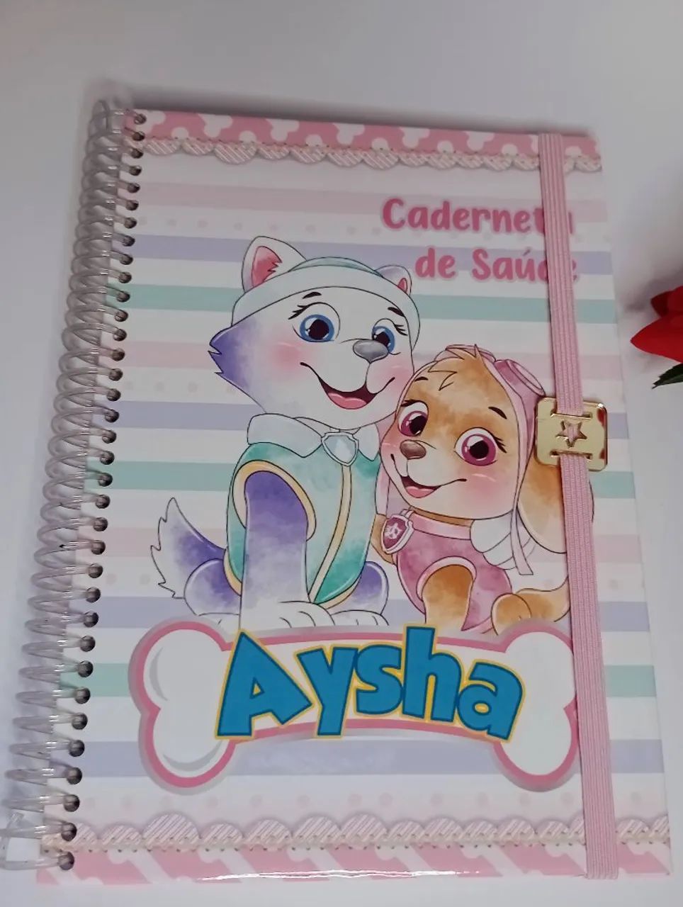 Caderneta de Saúde Personalizada 