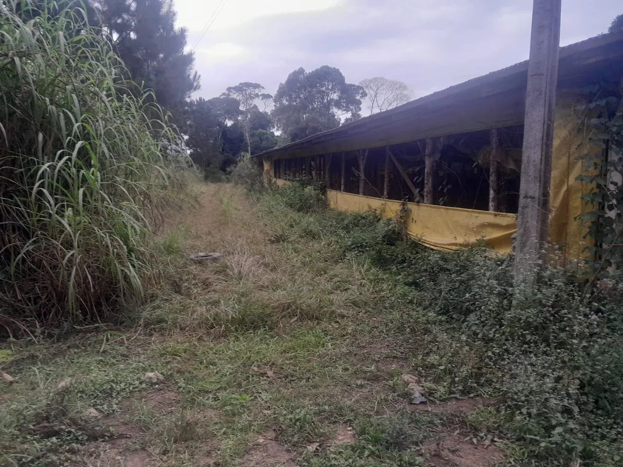 Vendo terreno medindo meio alqueire com galpao de 600 metros , luz instalada nascente agua