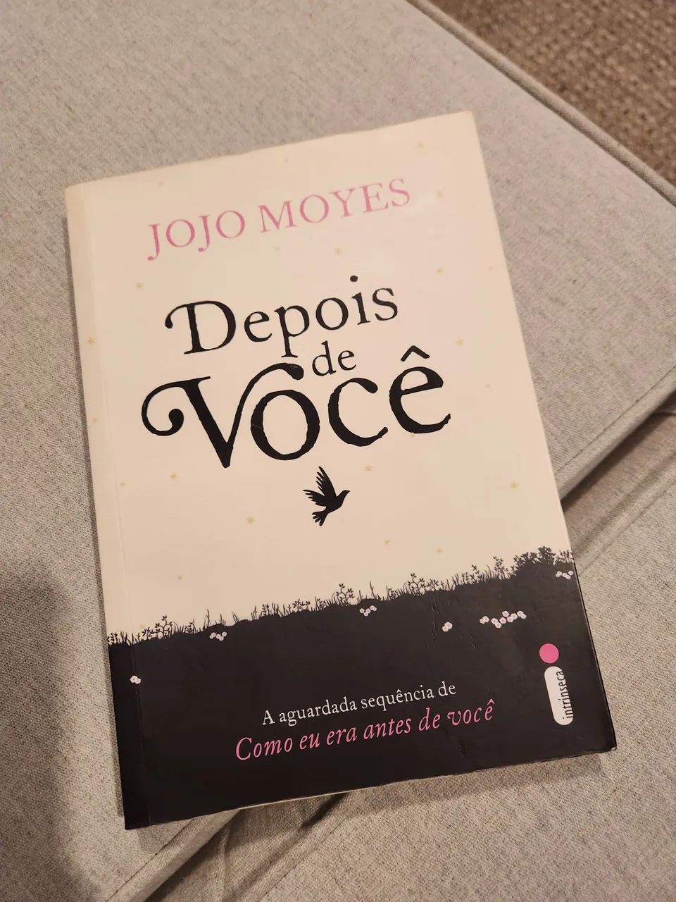Depois de Você - Jojo Moyes