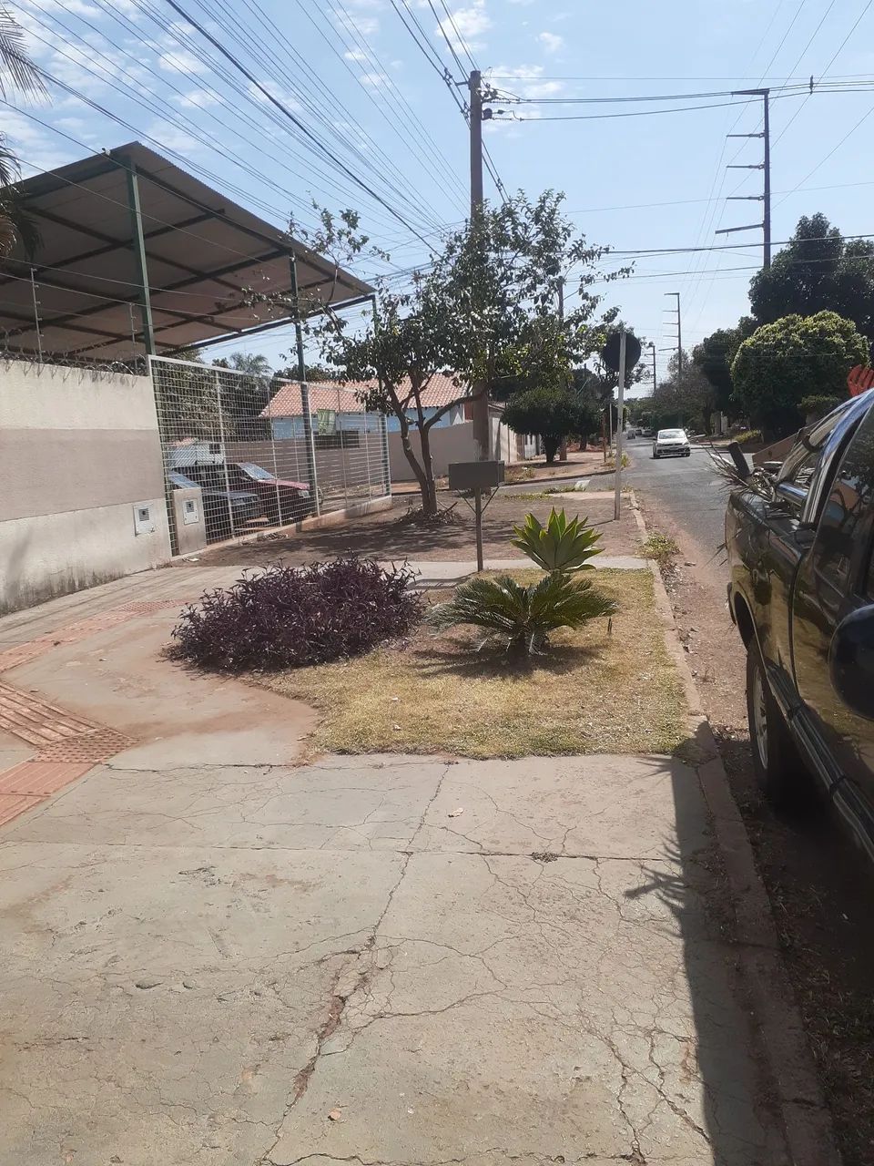 Jardineiro poda de avrer e Roçada de grama  watzp * - Foto 3