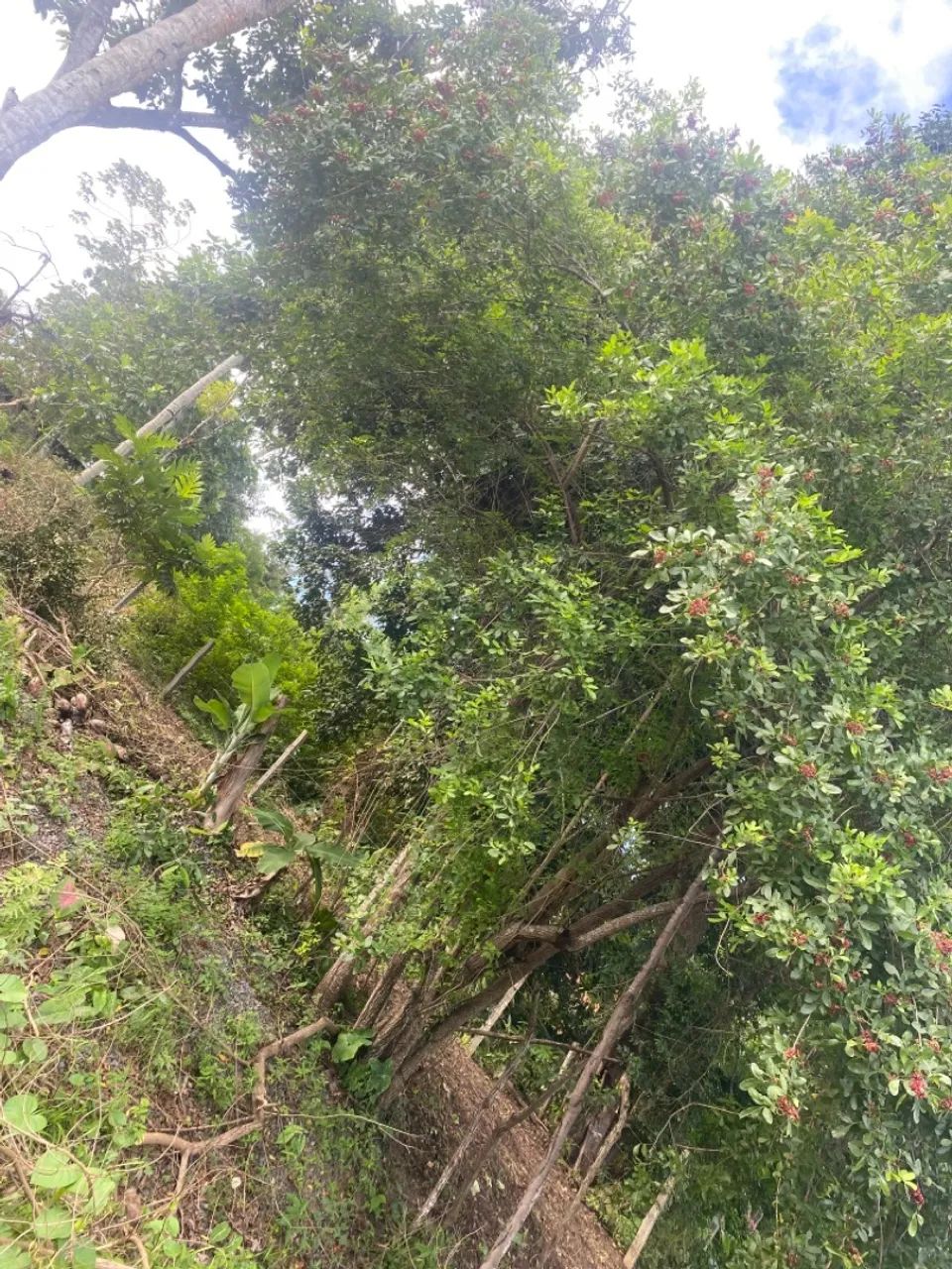 OPORTUNIDADE TERRENO 35 mil  - Foto 3