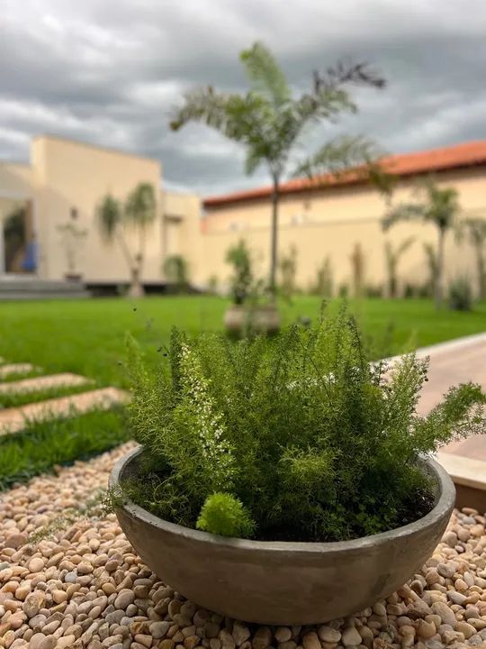 Paisagista revitalização de jardins - Foto 4