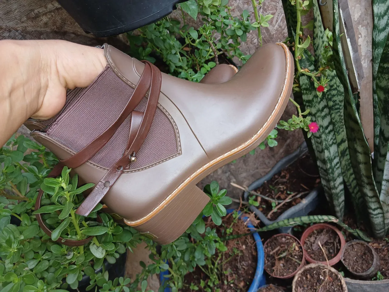 Bota marrom cano curto com detalhes