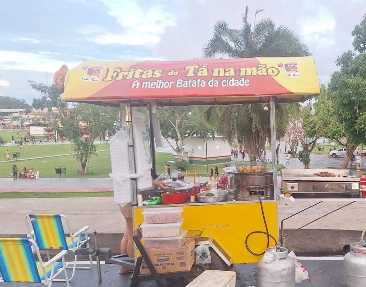 Carrinho de batata e chapa - Foto 2