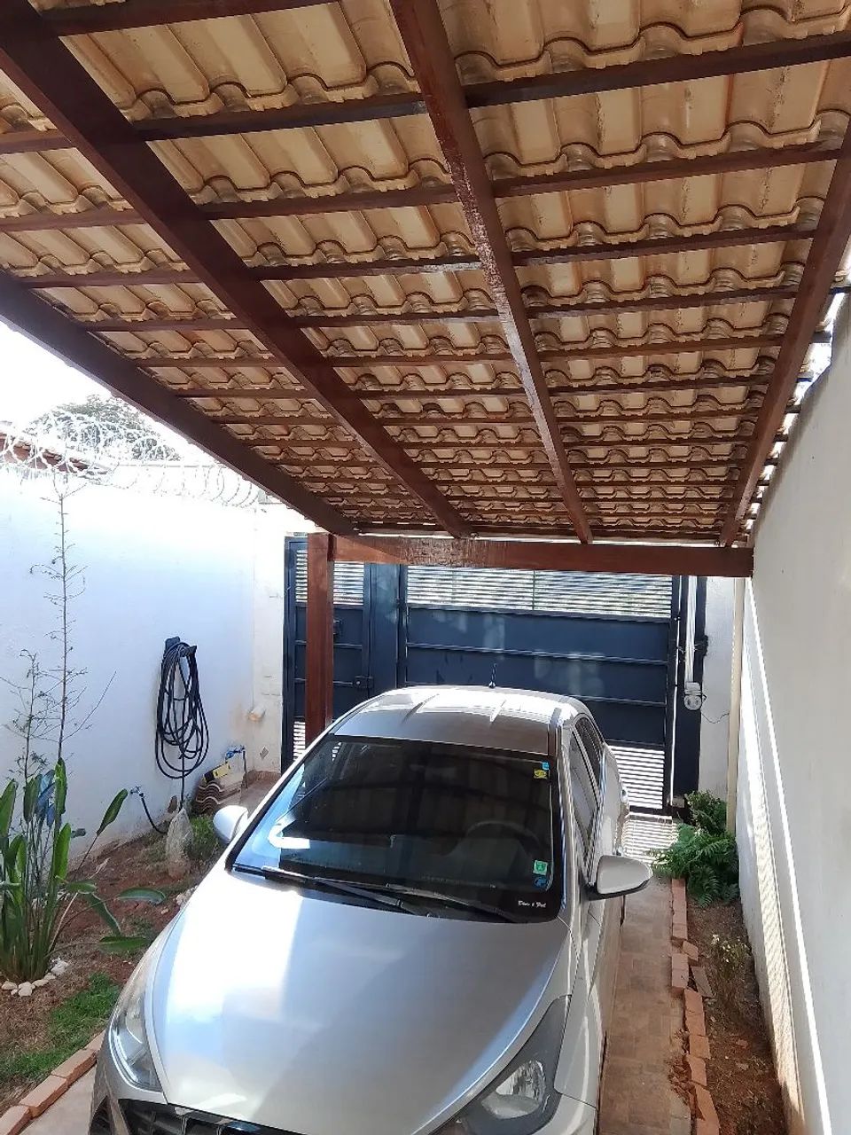 Foto - Ibirité - Palmeiras (Parque Durval de Barros)