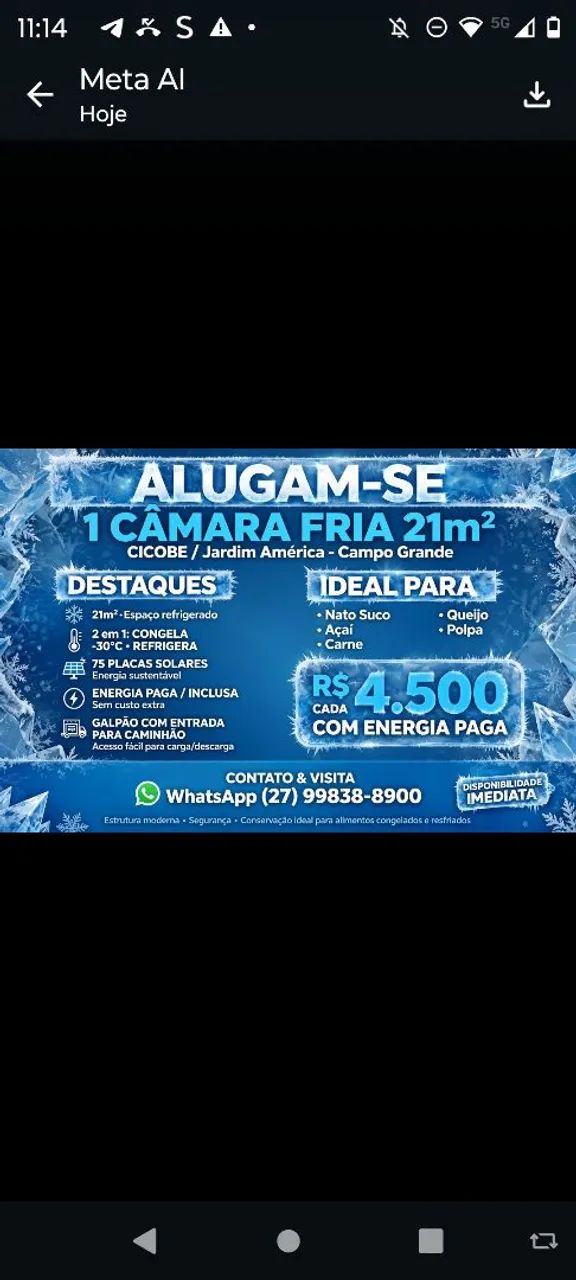 Câmara fria aluguel  - Foto 3