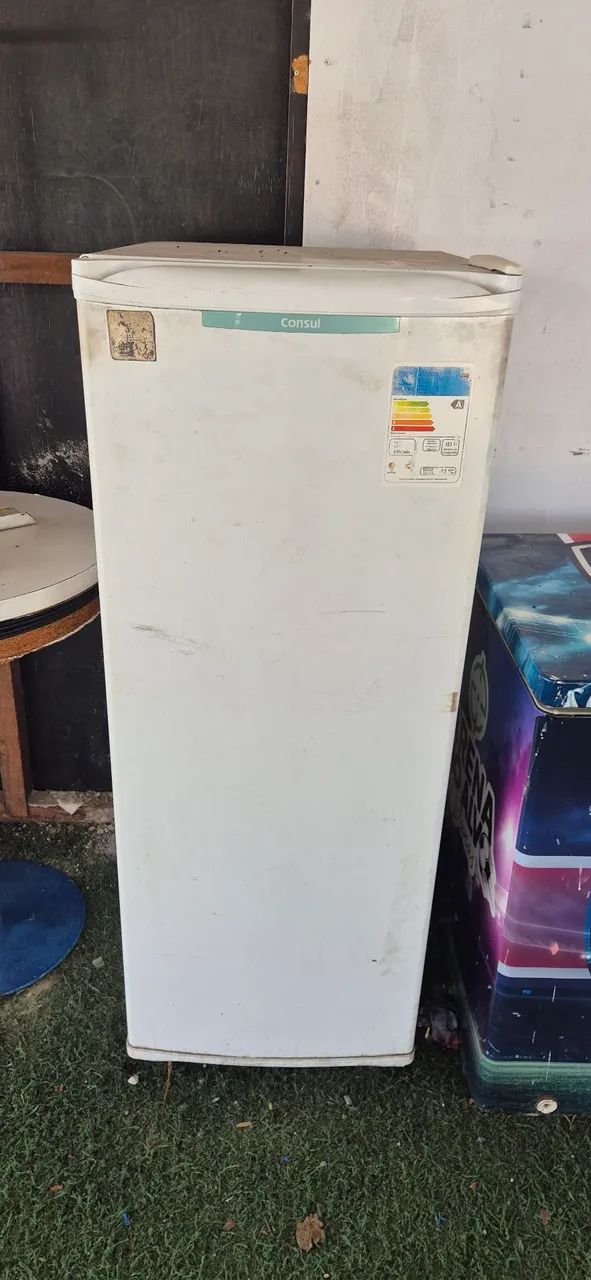 Freezer vertical consul