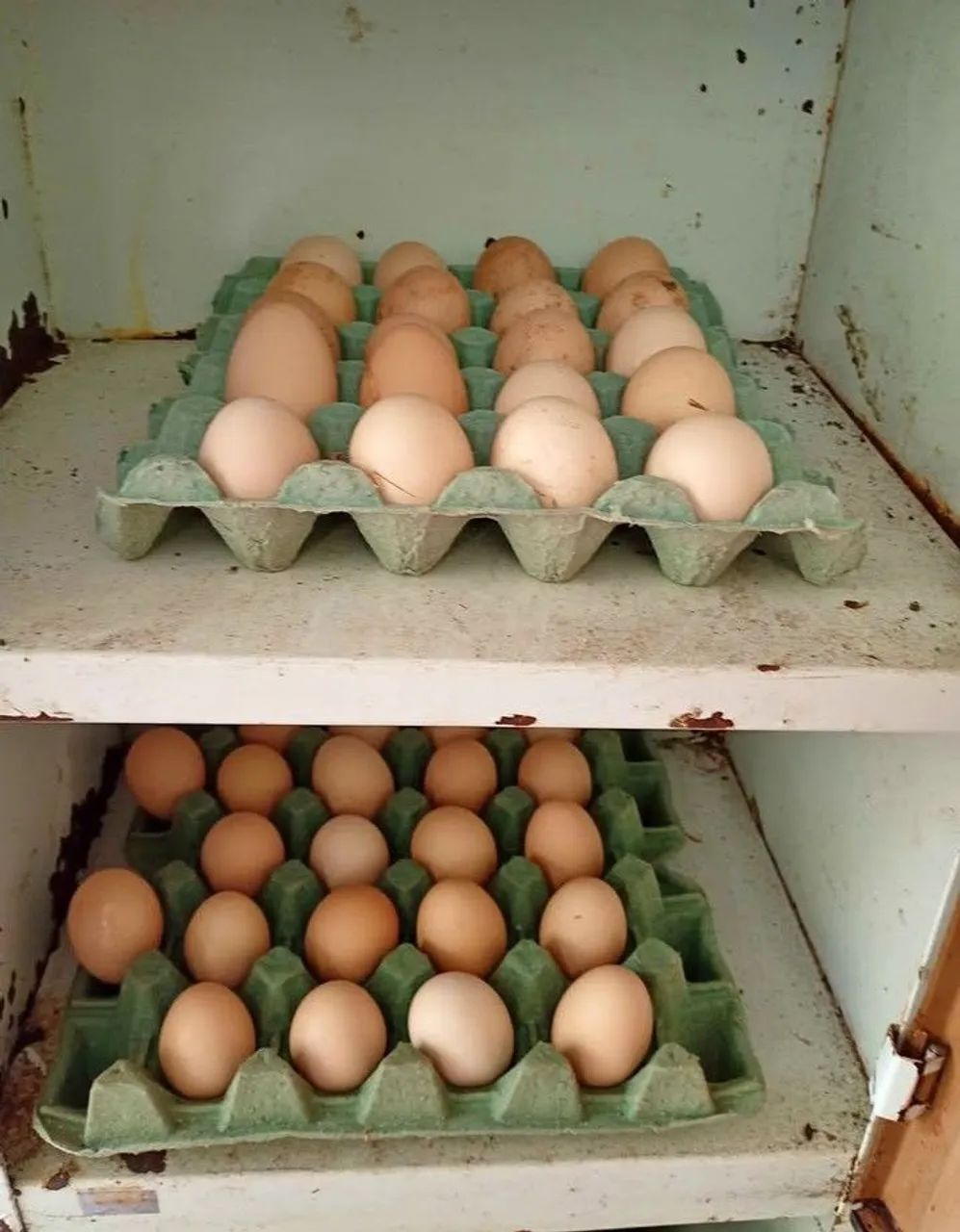 Doações de ovos 