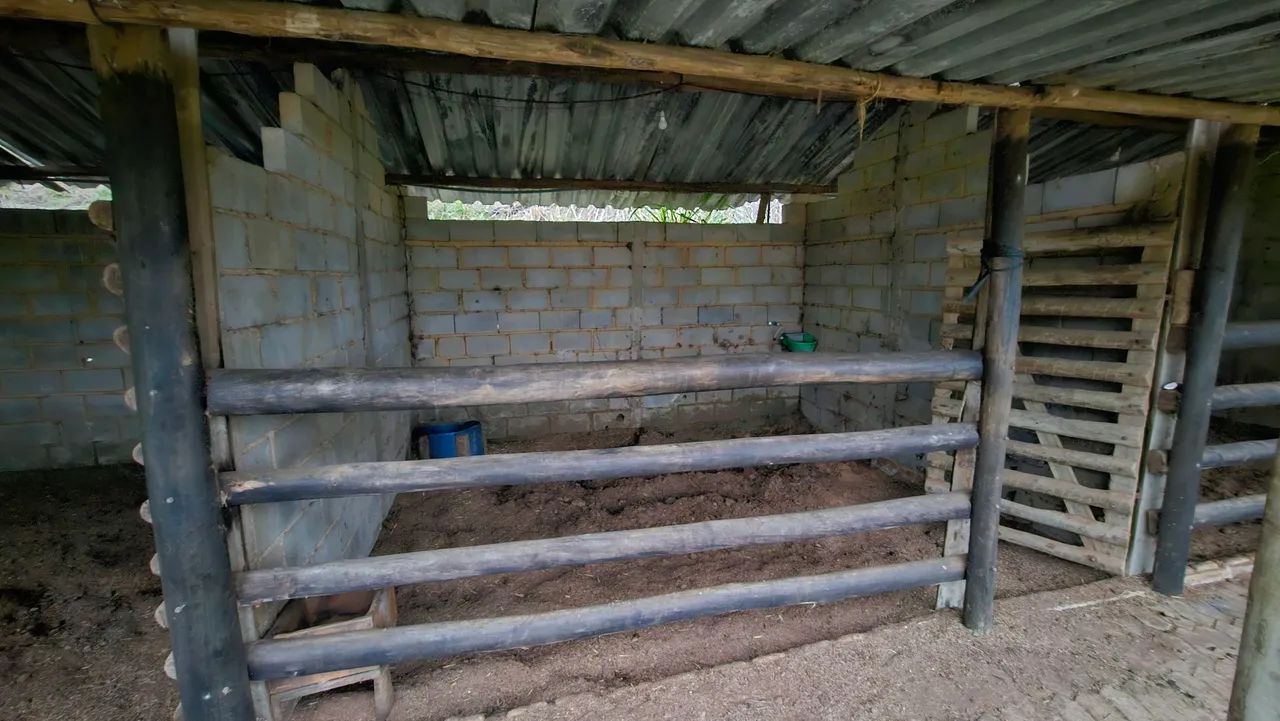 Baias para seu CAVALO - Foto 2