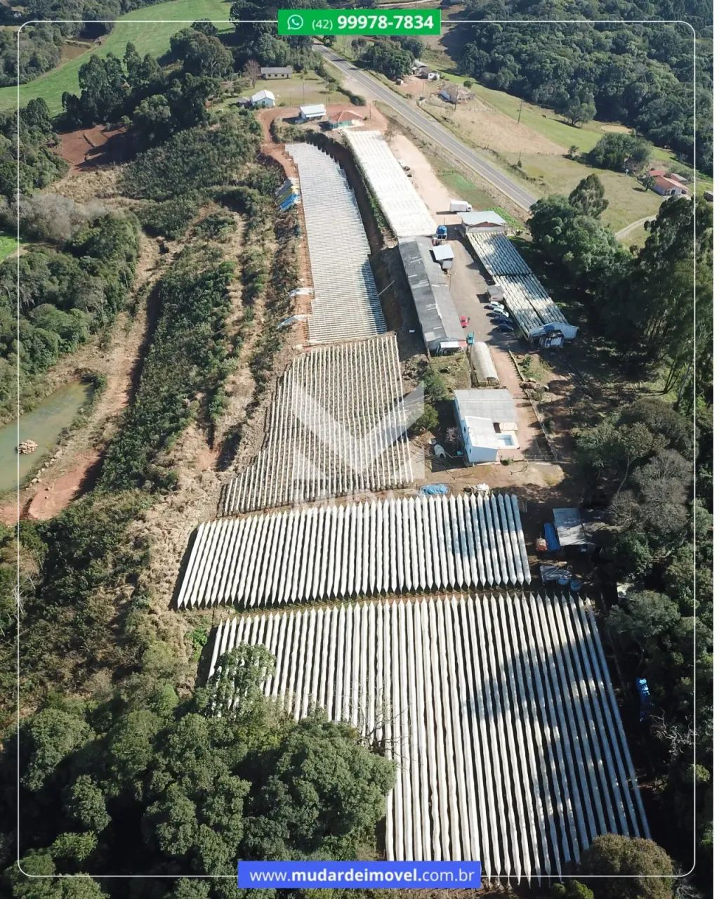 Propriedade para produção de morangos - Foto 2