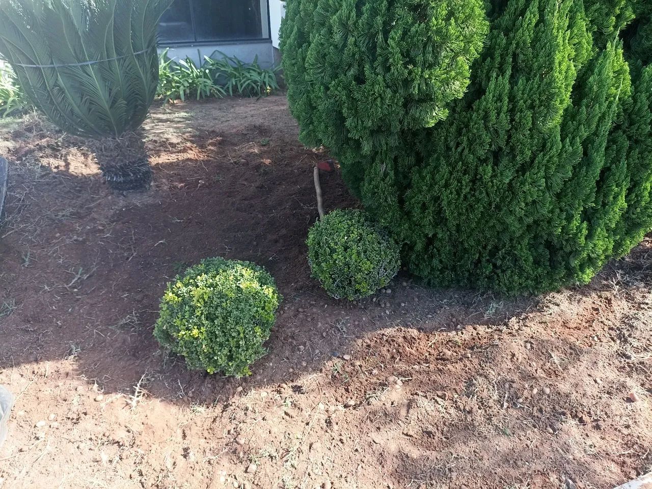 Manutenções e montagem de jardim  - Foto 2