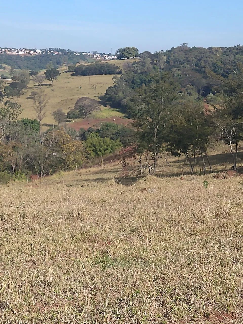 Terreno  - Foto 3