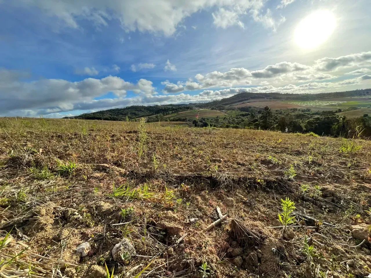 Imóvel para venda com 500 metros quadrados - Foto 5