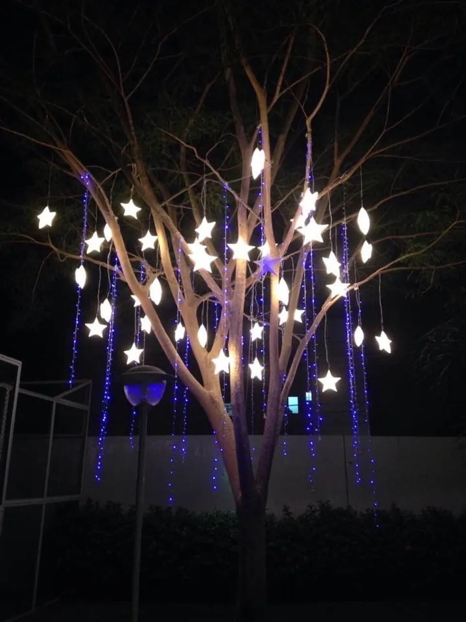 Decoração  - Foto 2