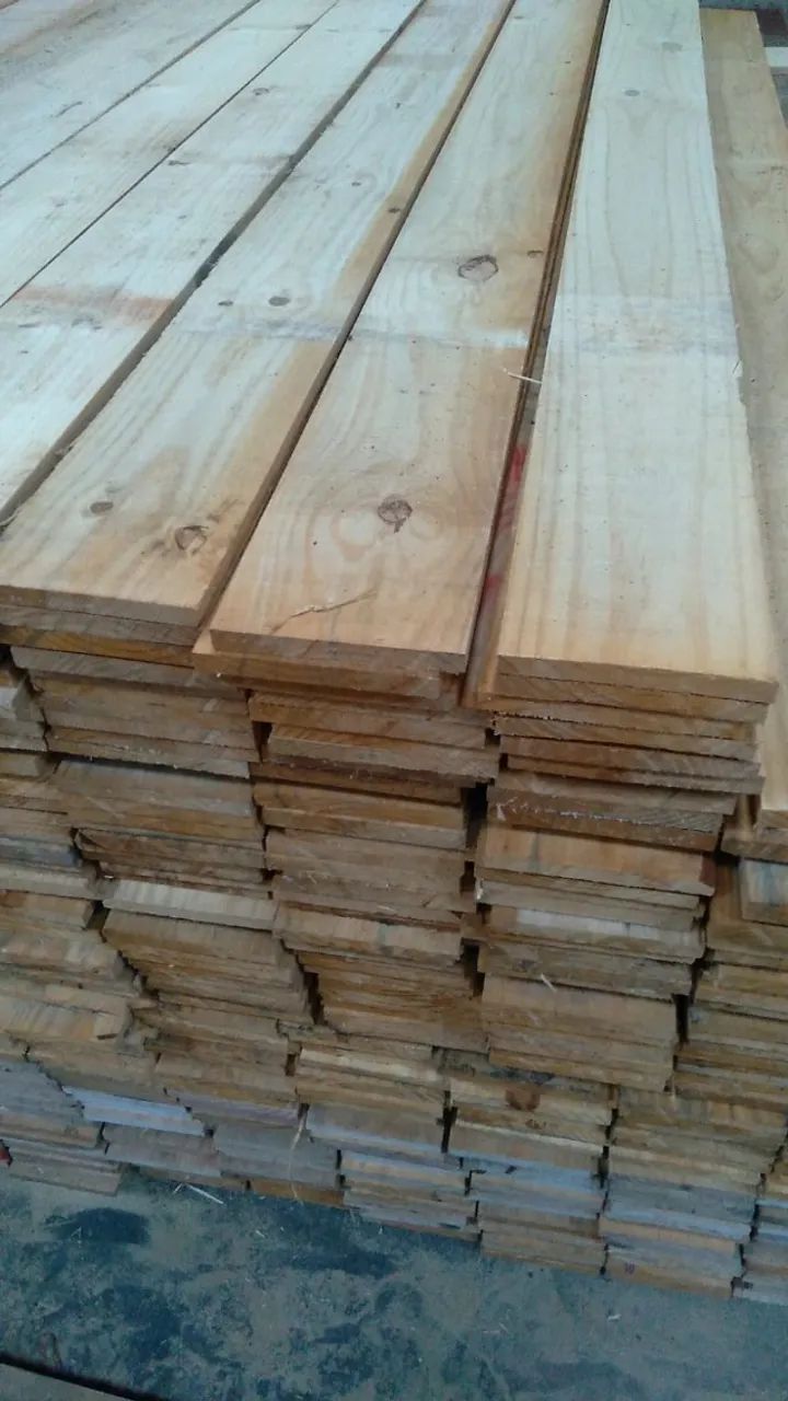 Tábuas de Pinus  - Foto 2