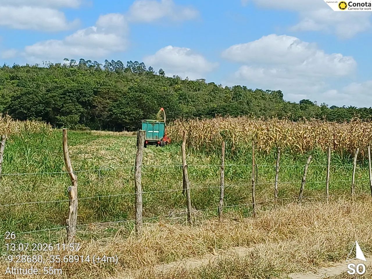 Sitio  - Foto 3
