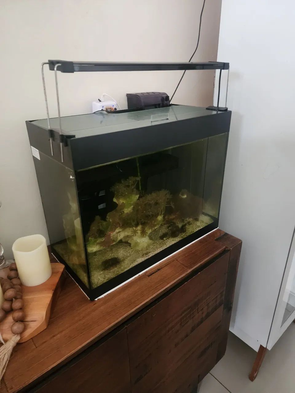 Aquario 40 litros  - Foto 4