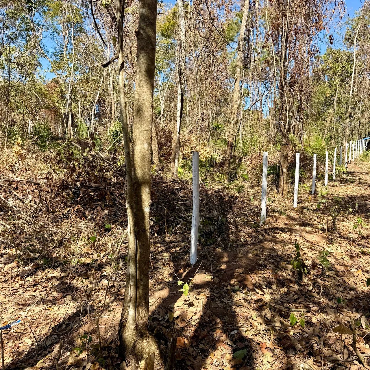 Chácara 1.100m2 em Bonfinópolis GO - Foto 2
