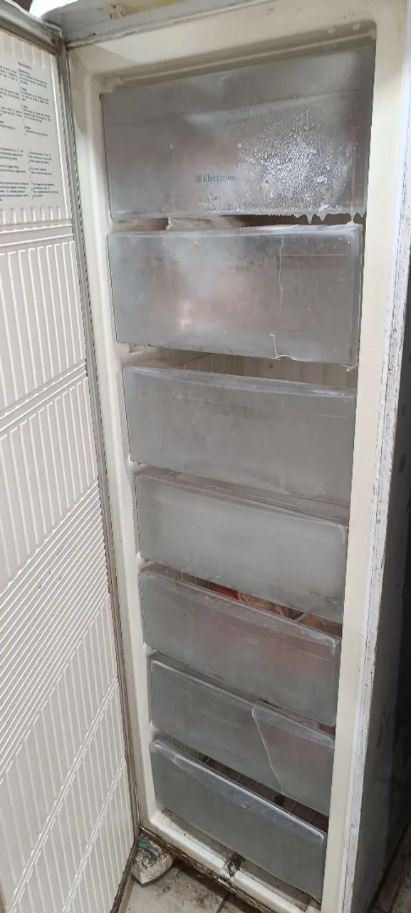 Freezer Eletrolux  - Foto 4