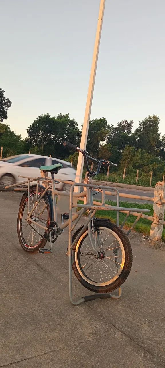 Bike cargueira 