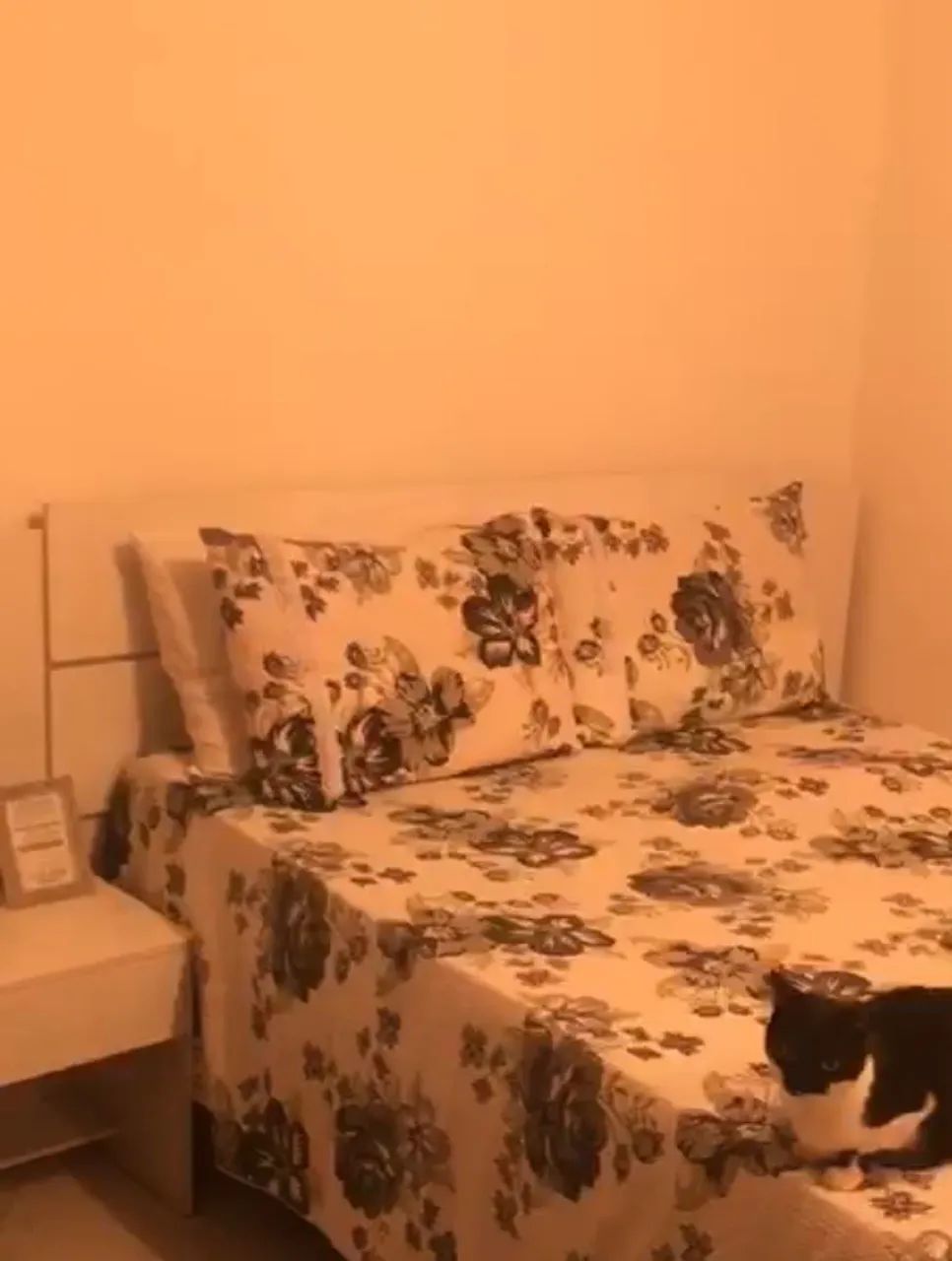 Cabeceira de cama de casal - Foto 3