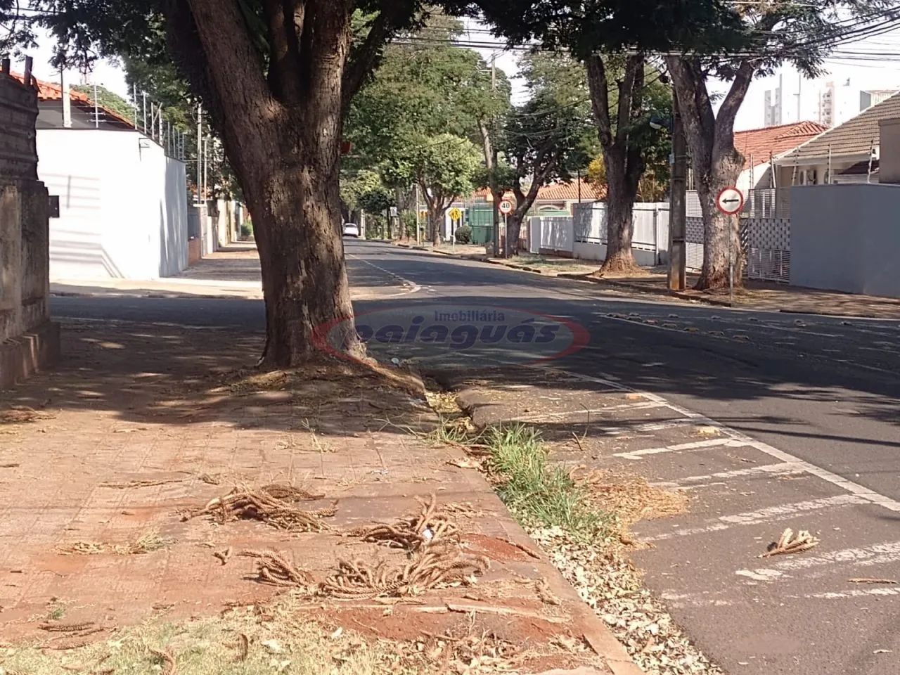 Terreno a venda no bairro Zona 02 - Foto 5