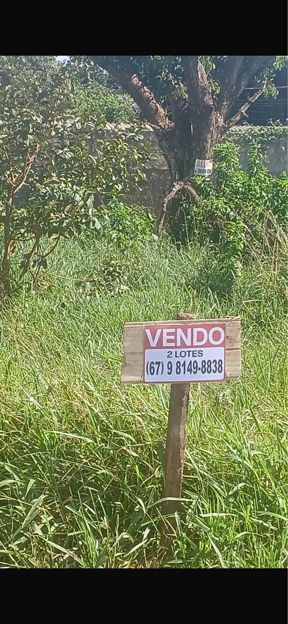 Excelente Terreno - VALORIZAÇÃO  - Foto 5