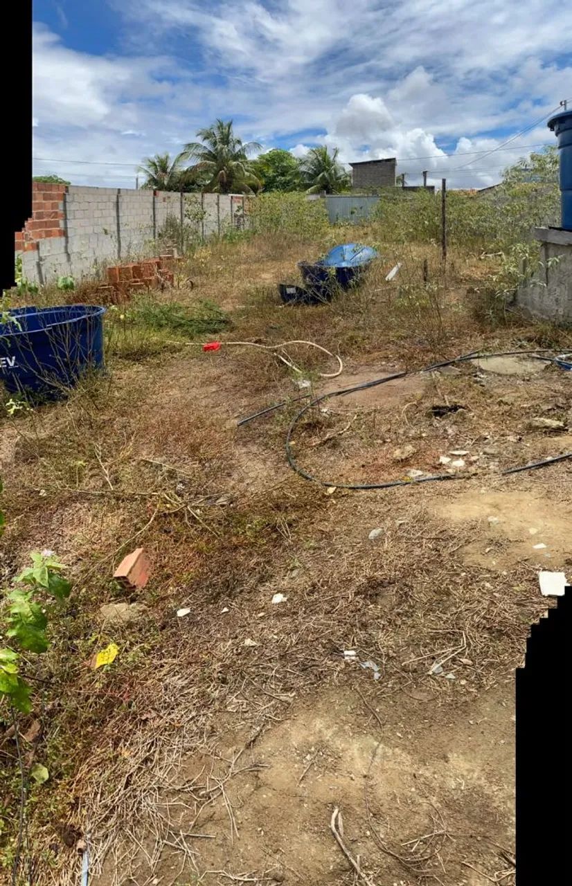 SÍTIO ÁREA RURAL - Foto 4