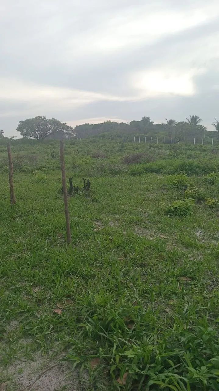 Venda de terreno  - Foto 4