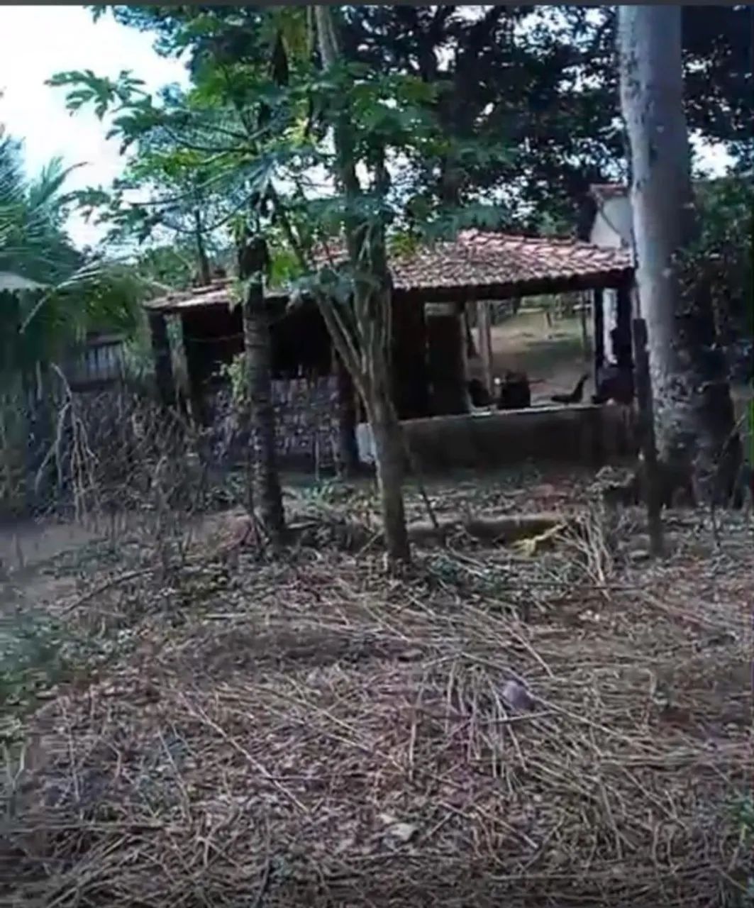Chácara no Rio Uru - Foto 4