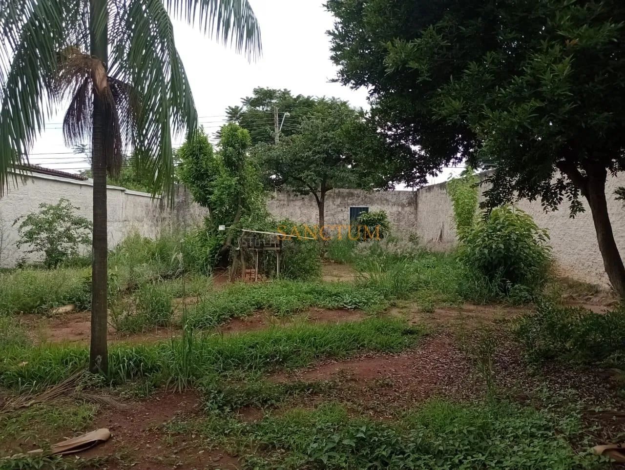 terreno - Jardim Eulina - Campinas