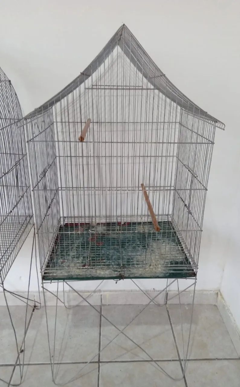 Viveiro 2 (Obs: Leia a descrição do anúncio)