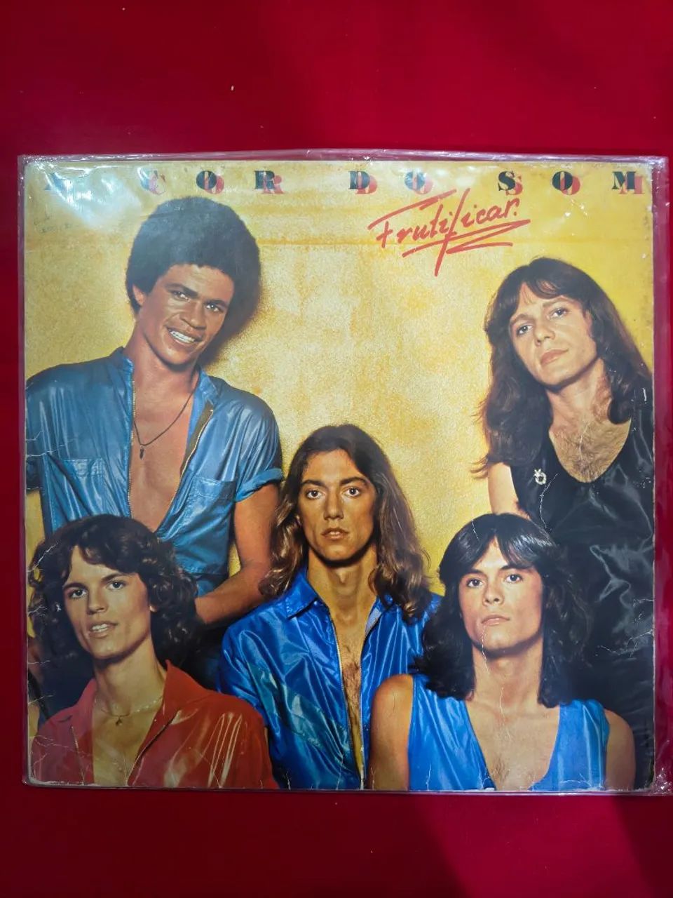 Lps Discos Vinis A Cor do Som 1977 e Frutificar