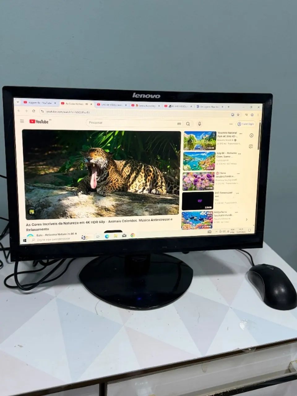 Monitor 19 Polegadas Lenovo LS1921wa VGA e DVI - Bom Estado 