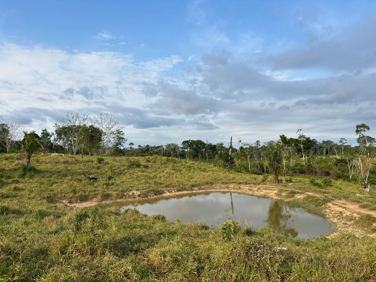 Vendo terra no ramal linha nova  28 km de ramal - Foto 2