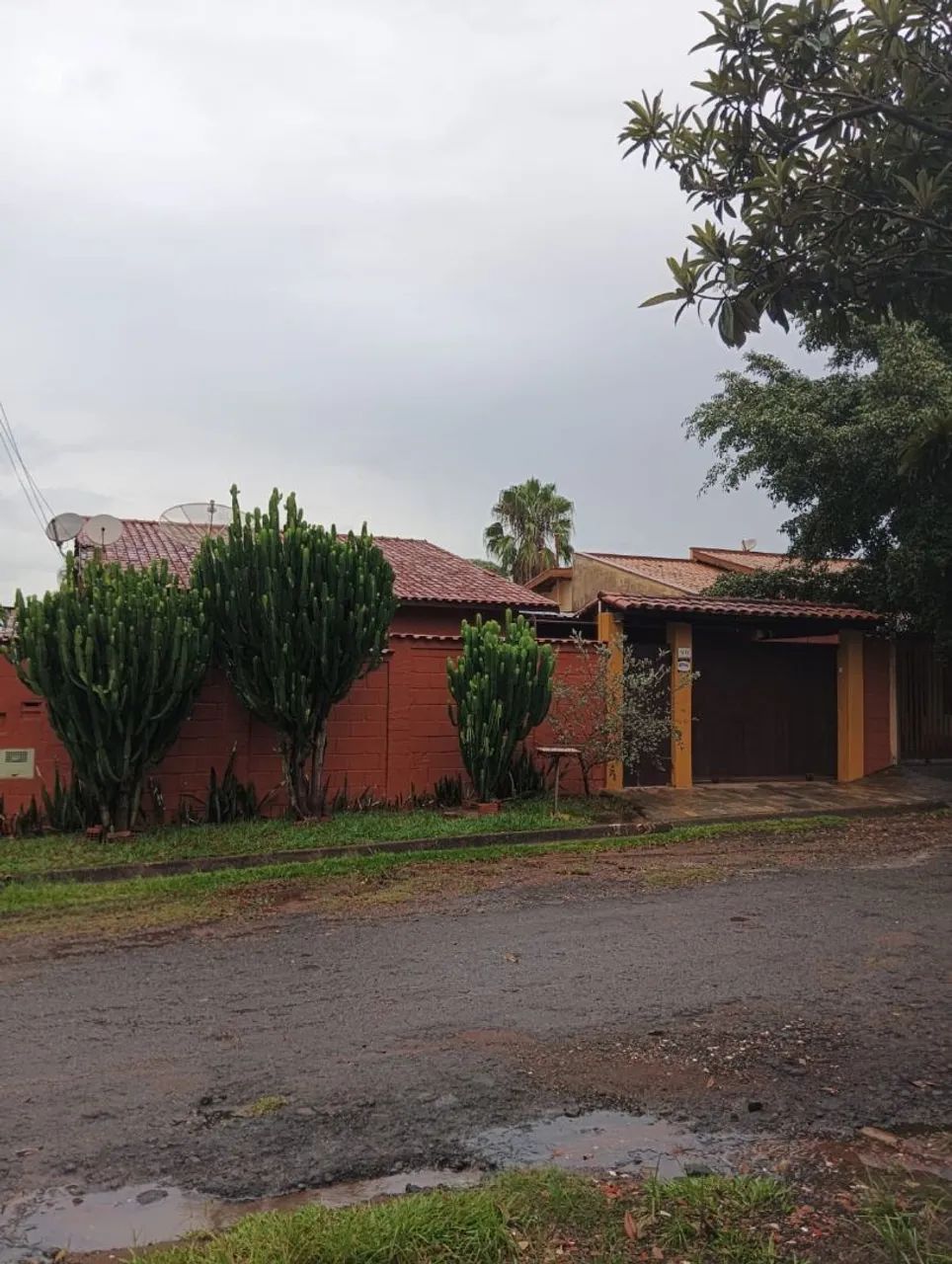 Foto - Campinas - Bosque das Palmeiras