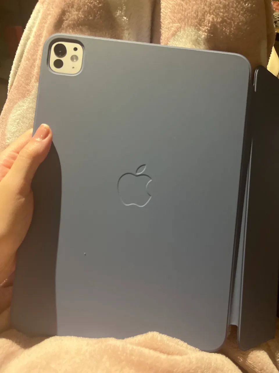 Ipad Pro 11 m5 2025 500gb pouco uso desapego Moema São Paulo