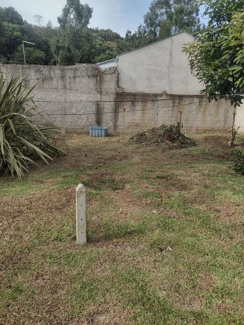 Foto - Campo Magro - 